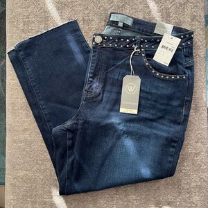 NWT Wit & Wisdom High Rise Vintage Skinny - 16W